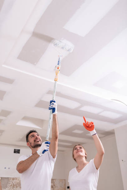 Best Ceiling Drywall Installation  in Spanish Lake, MO